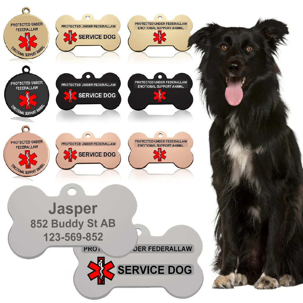 LLavero de acero inoxidable con etiqueta de identificación personalizada para mascotas, Collar con nombre para perro, gato, cachorro, colgante, productos para mascotas