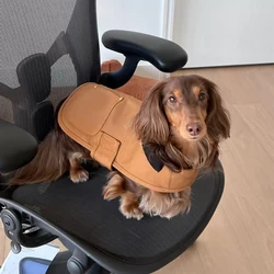 Chaleco desmontable rápido grueso marrón para perros Dachshund P-M-G