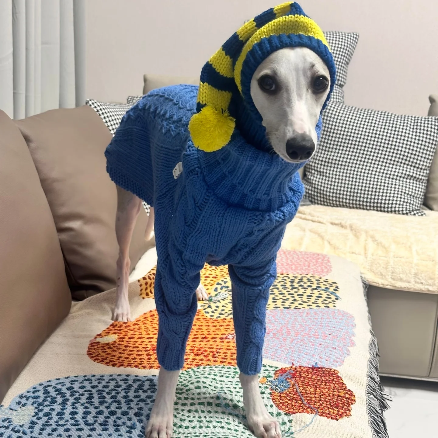 Gorro de punto a rayas azules para perros medianos en invierno Galgo italiano Primavera lindo disfraz Whippet Pet Warm Hat en otoño - imagen 2