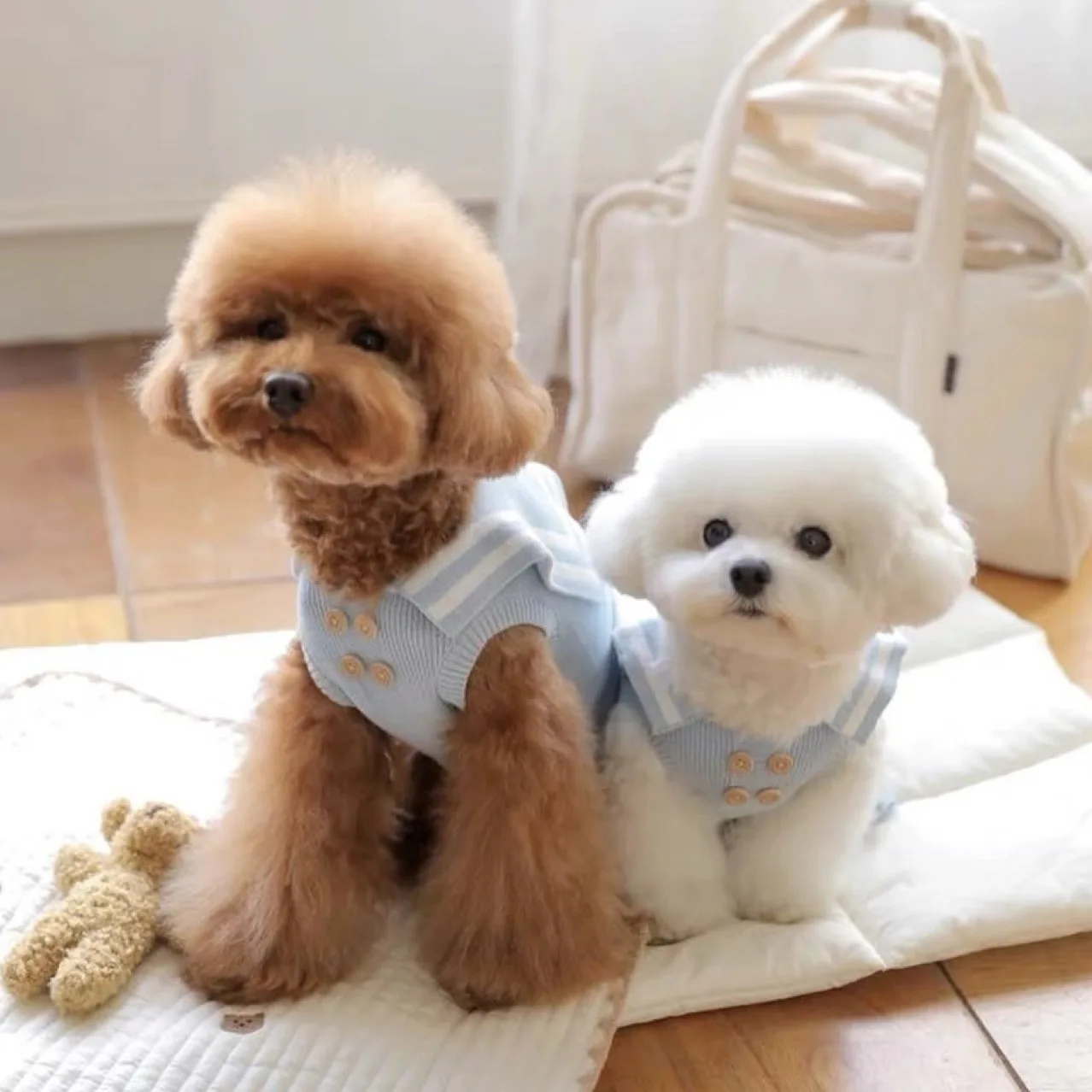 Suéter de punto para mascotas, vestido de otoño/invierno para perros, osos de peluche, Yorkshire maltés, ropa para perros pequeños, gatos y perros pequeños, ropa para cachorros - imagen 3