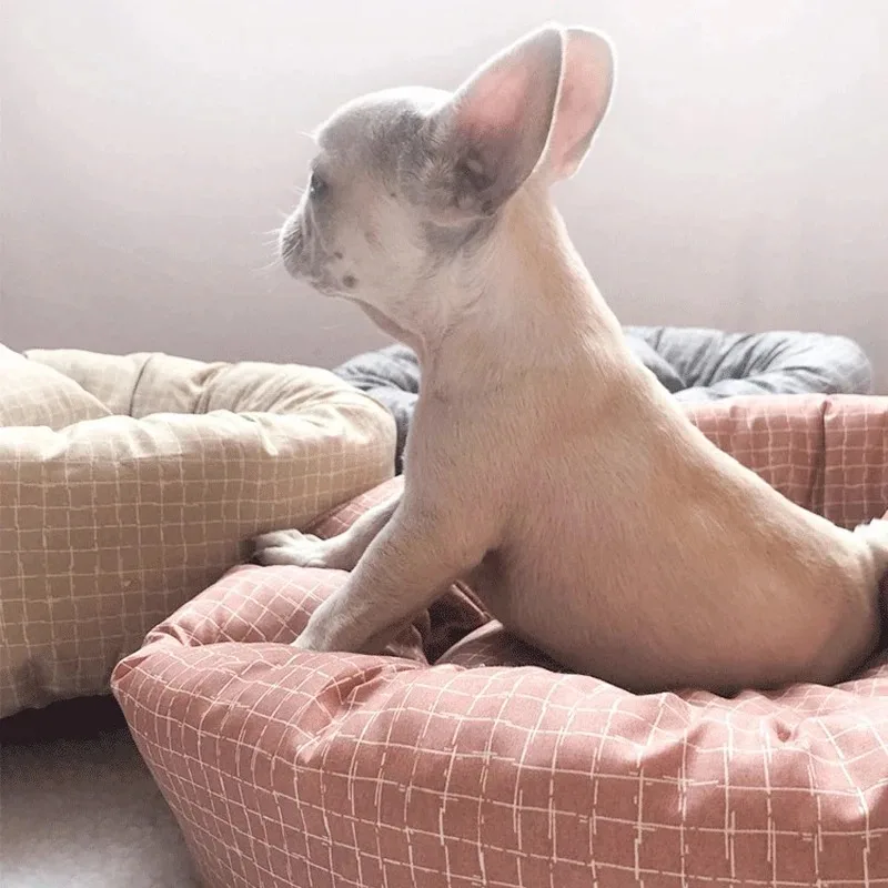 Camas para mascotas, perrera para perros pequeños, cesta grande y mediana, suministros para gatos, accesorios para razas de cachorros, estera esponjosa - imagen 3