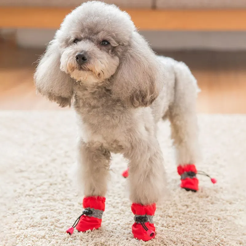 Botas de invierno para perro colocadas sobre la nieve