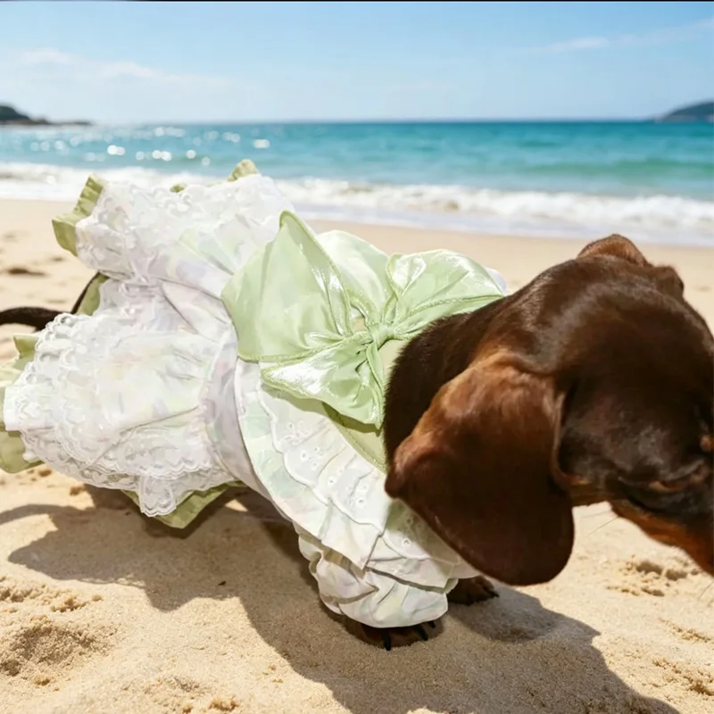 Conjunto vestido y sombrero floral para perro salchicha – Primavera-Verano - imagen 2