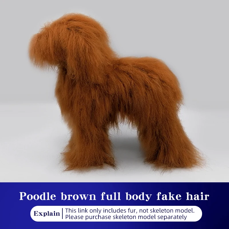 Poodle Hair brown