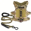 Camouflage2