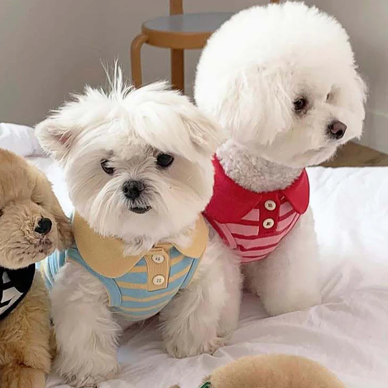 Suéter clásico a rayas, ropa cálida para mascotas, jersey para Chihuahua, mono para perros, suministros para cachorros y Yorkie, pijamas de Estilo Princesa