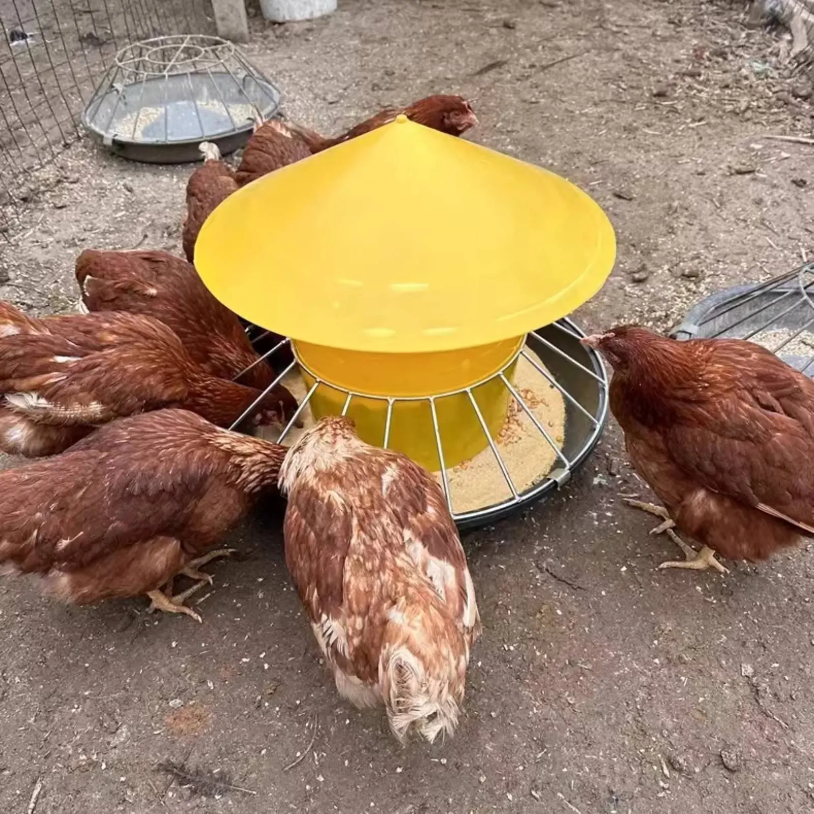 Comedero anti-perchas para gallinas y pollos, gran capacidad - imagen 4