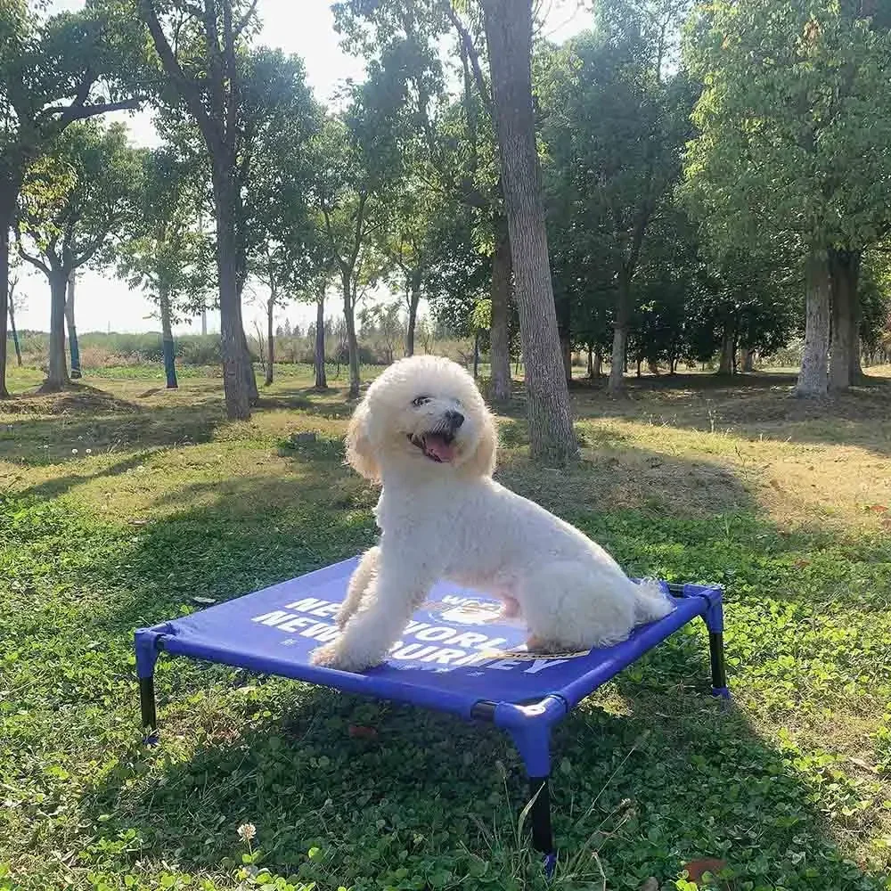 Cama elevada transpirable para perro portátil: playa y camping