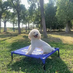 Cama elevada transpirable para perro portátil: playa y camping