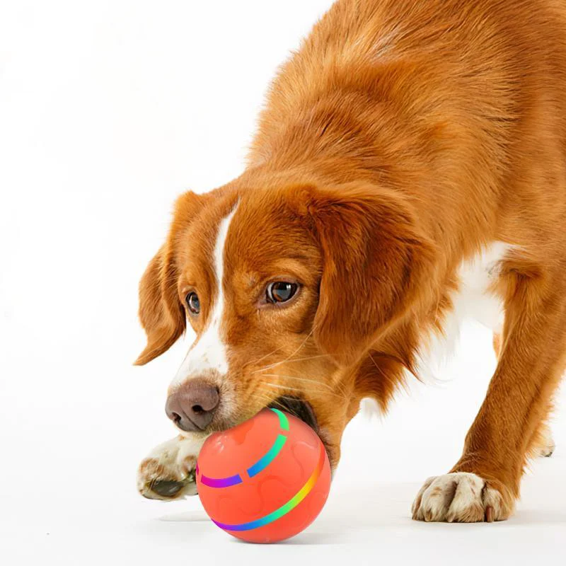 Juguetes interactivos con pelota para perros y gatos, juguetes con pelota rodante, juguetes con pelota giratoria móvil para perros pequeños, medianos y grandes, Sil duradero - imagen 2