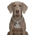 Silver CEO