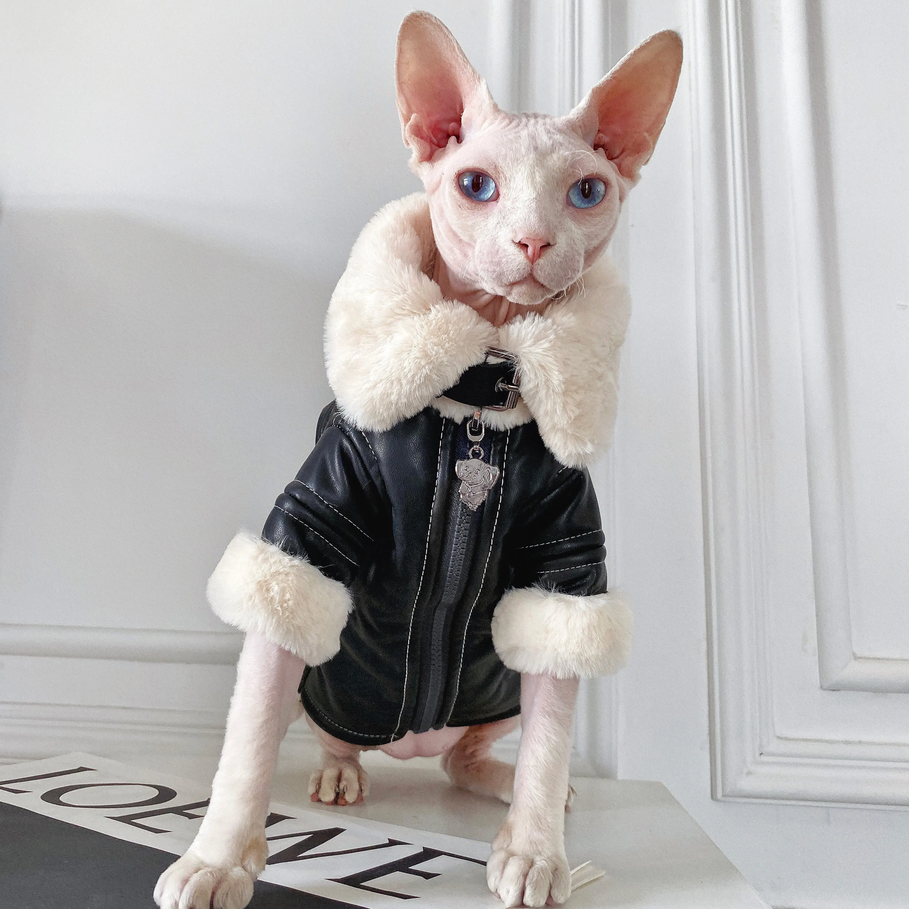 Moda Sphynx gato chaqueta de motociclista de cuero abrigo de piel ropa de gato gatito disfraces cálidos de lujo para Sphinx Devon gato ropa para gato - imagen 5