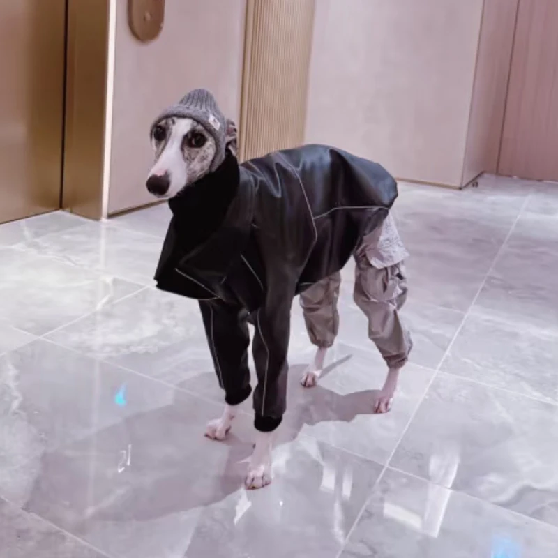 Moda Otoño chaqueta impermeable negra para Whipbit invierno cuero a prueba de viento ropa para perros galgo abrigo con cremallera para perros Meida - imagen 2