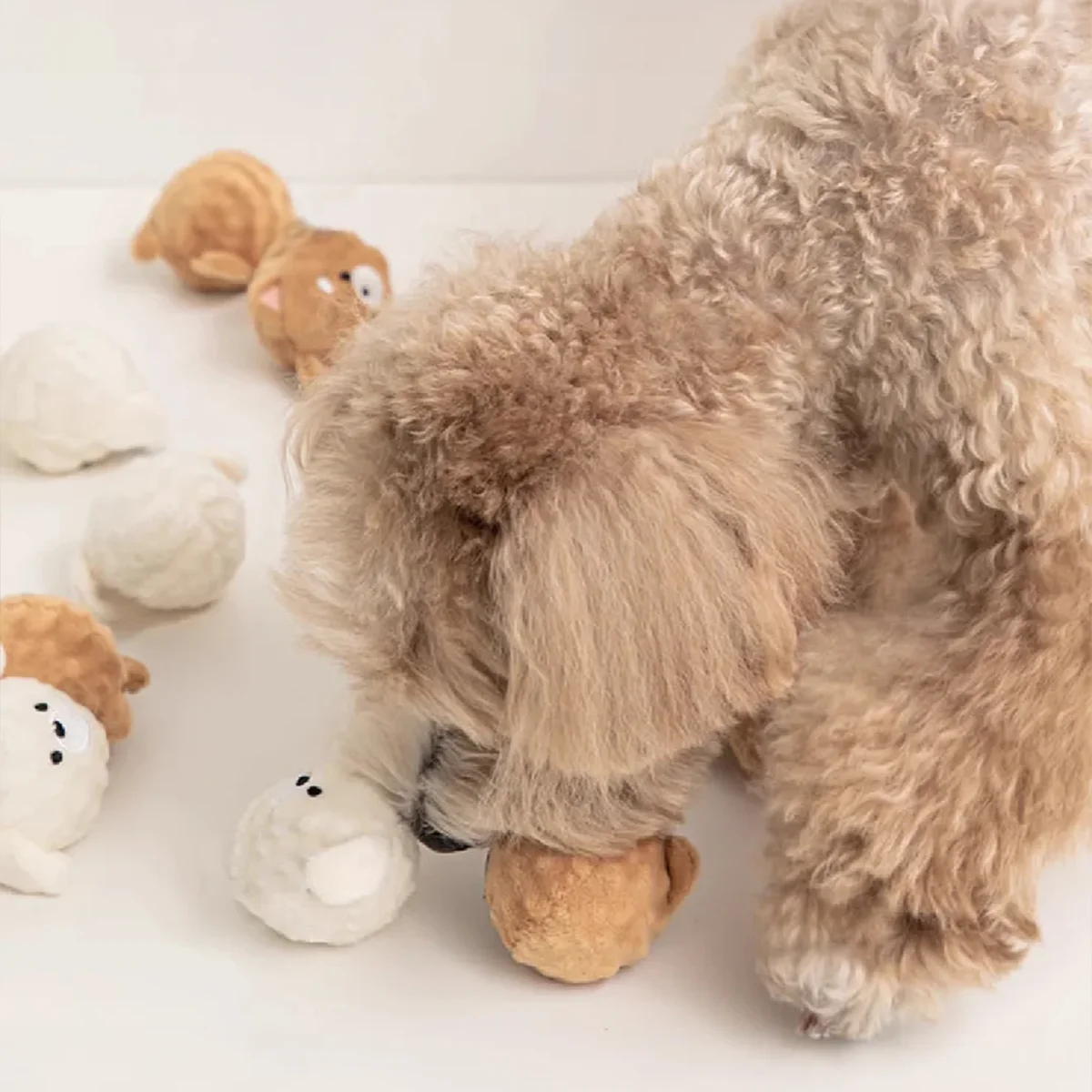 Juguete de pelota para cachorros chirriantes: masticar que rebota con pinchos para limpieza de dientes, juguete interactivo para mascotas para perros y gatos pequeños (Poodle/Bichon)