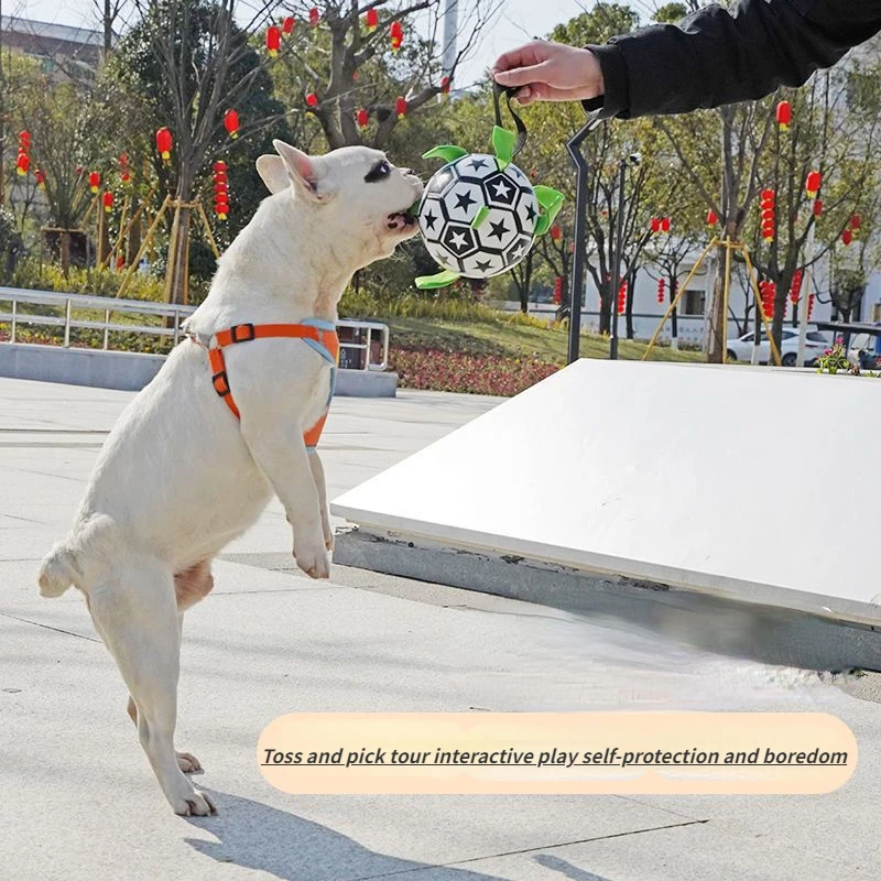 Pelota interactiva bonita para mascotas para perros medianos y pequeños, pelotas hinchables, suministros para bolos, fútbol, accesorios para mascotas - imagen 5