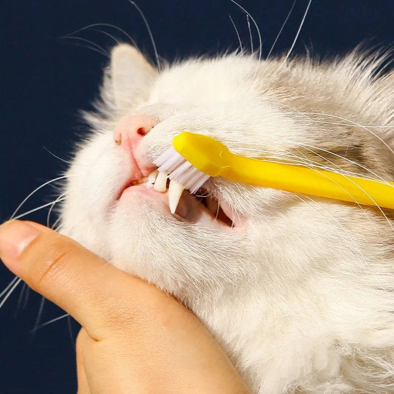 Cepillo dientes doble cabeza gatos - Vista principal de la limpieza