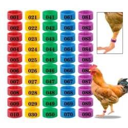 Anillos para patas de aves de corral 1,6–2,0 cm – instalación fácil