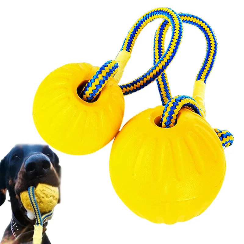 Un perro con una bola amarilla en la boca y una bola amarilla en una cuerda