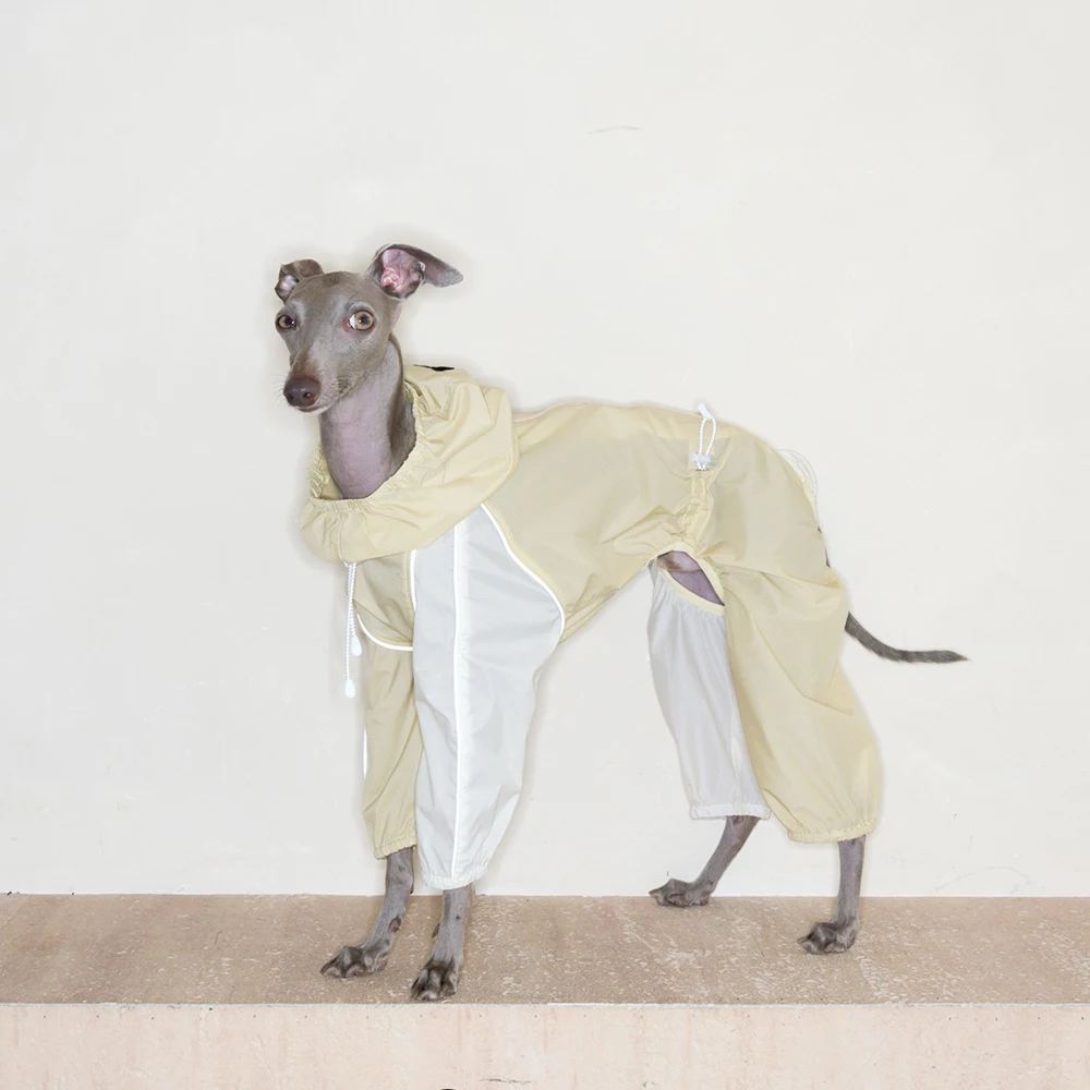 Chaqueta de Verano para Galgo Italiano UPF50+ Impermeable y Ligera - imagen 3