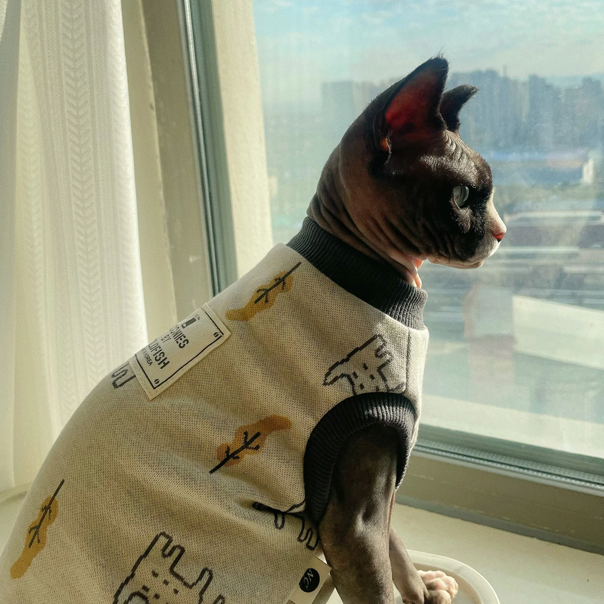 Camiseta de algodón gris elástico de alta calidad para Sphiynx Cat en primavera, chaleco con estampado de gatitos de manga corta, Pajiamas suaves para Devon Rex - imagen 3