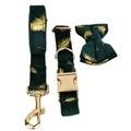Bow Collar Leash Set