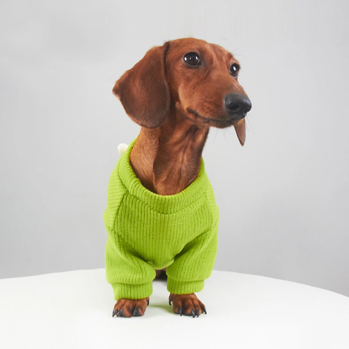 Abrigo punto suave para perros pequeños Dachshund – Primavera y otoño - imagen 2