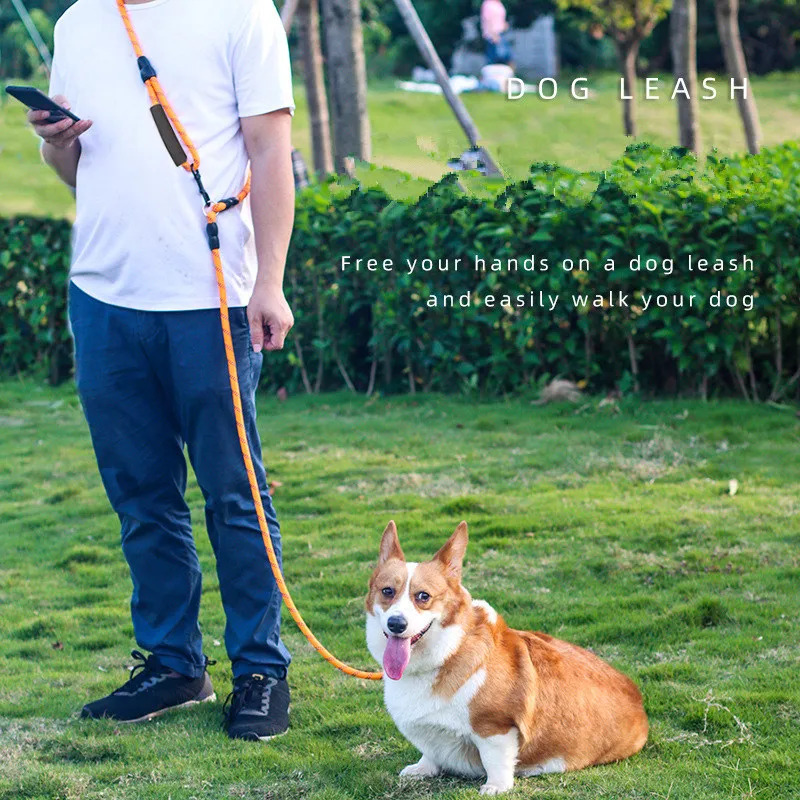 Correa para perro, correa para perros manos libres, correas impermeables de 3M de largo para caminar, correas reflectantes para perros de doble cabeza, cadena para mascotas de 3M - imagen 2