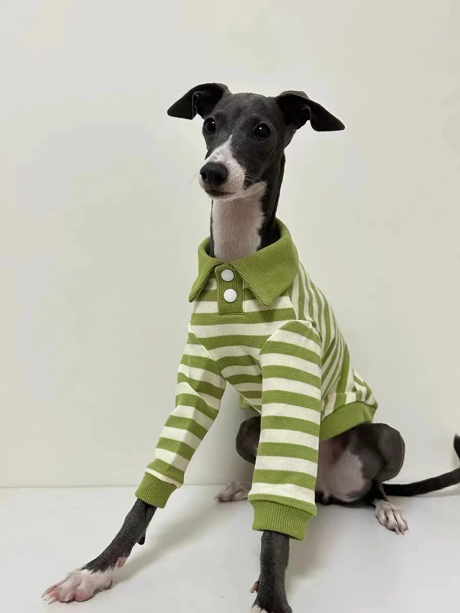 Camisa POLO de algodón puro para perros, ropa elástica para perros galgo italiano Whippet Bellington, rayas verdes, otoño e invierno