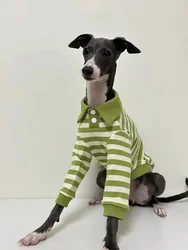 Camisa de algodón para galgo italiano y Whippet - otoño e invierno