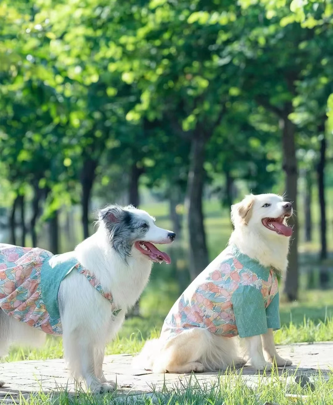 Vestido con lazo y tirantes para primavera y verano, camisa Floral para perros grandes y medianos, para Husky, Labrador, Golden Retriever, Border Collie - imagen 3