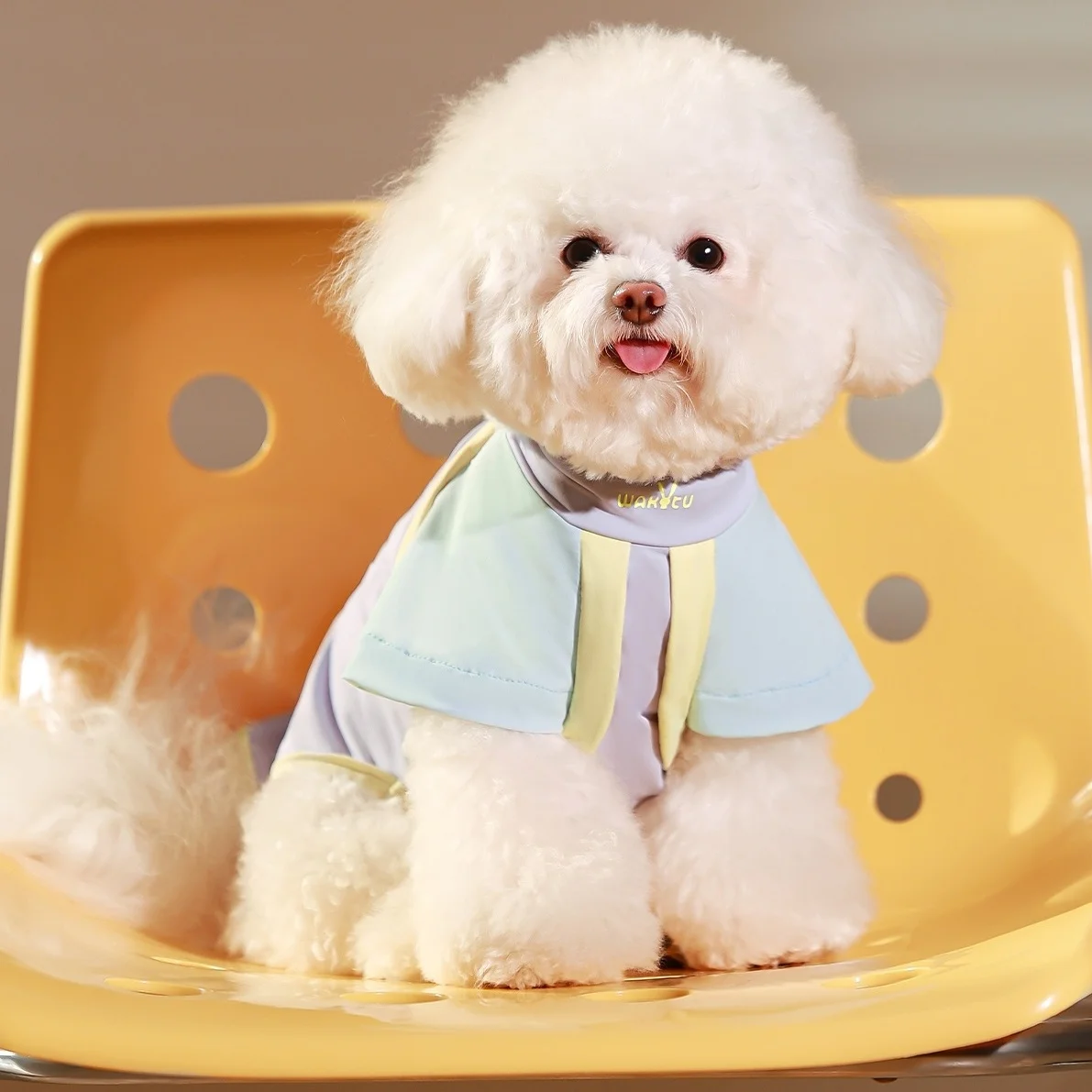 Ropa fresca de verano para mascotas, camisetas de secado rápido para perros pequeños, Bichons, Schnauzers, Yorkshire Terriers, ropa ligera para perros - imagen 5