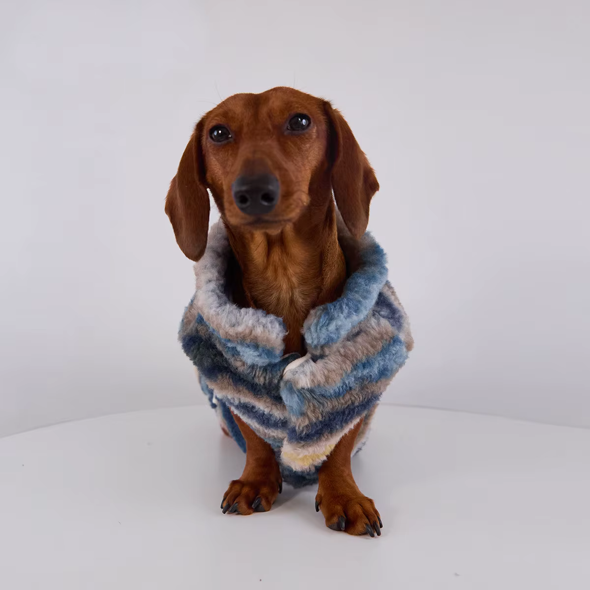 Cardigan de rayas azules para perros salchicha – Abrigo otoño invierno