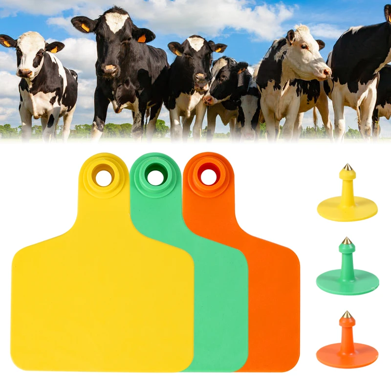 Paquete de 100 etiquetas para oreja de identificación de animales, sin palabra, etiqueta para oreja de becerro, aplicable a cerdos, ganado, ovejas, herramientas de alimentación de animales de granja, 75mm x 60mm - imagen 2