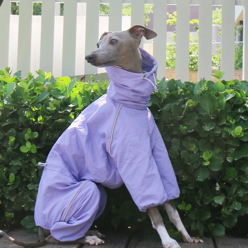 Abrigo impermeable de verano para galgo y whippet – cuello alto - imagen 3