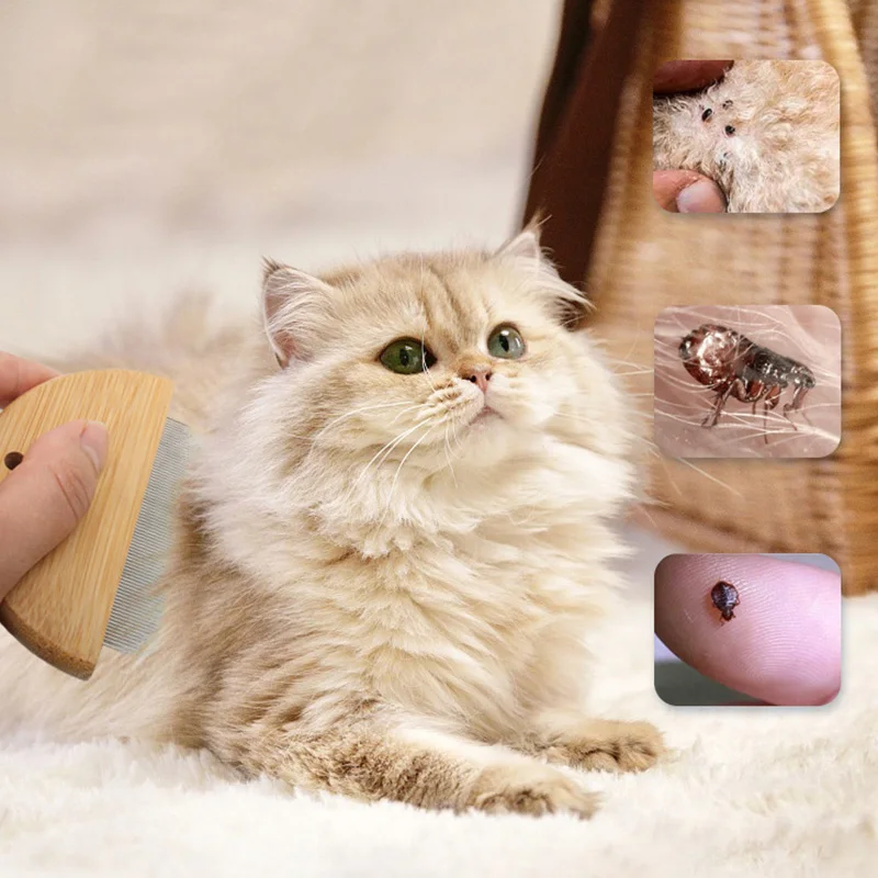 Removedor de pelo de mascotas con mango de madera, cepillo de aguja para gatos, perros, peine para eliminar piojos, herramientas de aseo para gatitos, cepillo para perros, suministros para mascotas