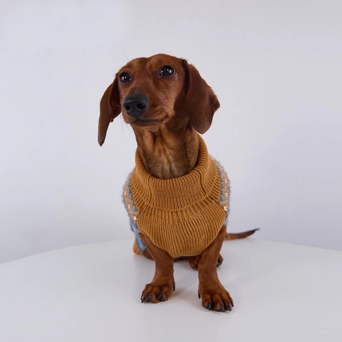 Suéter bohemio tejido a mano para perro salchicha pequeño mediano - imagen 4