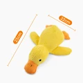 Small Duck