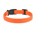 Orange Nylon collar