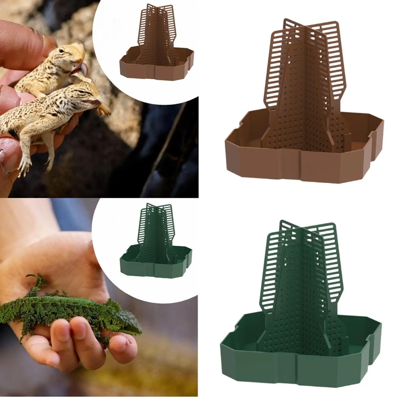 Bearded Dragon Feeder Chameleon Feeding Station for Frog Lizard Climbing Pet