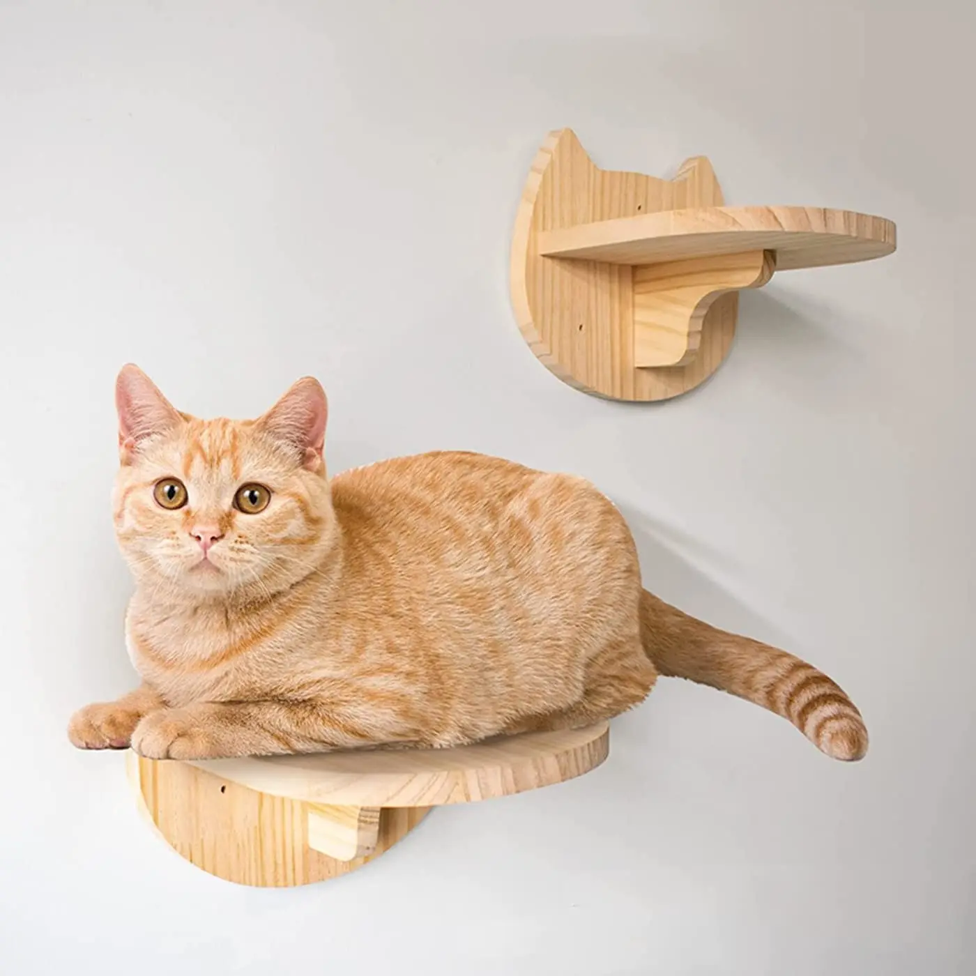 Estantes de escalada para gatos, hamaca y escalones montados en la pared para gatos, plataforma para caminar y saltar, muebles de madera, juego y dormir para gatitos - imagen 5