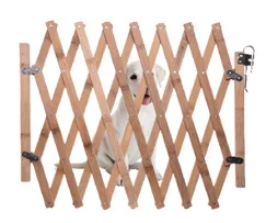 WeChat image _20191208174603