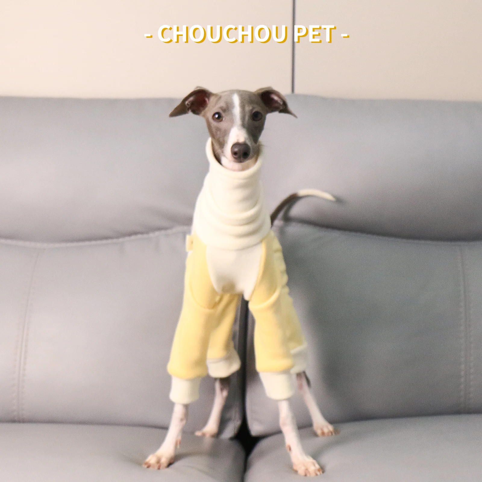 Primavera nuevo italiano galgo Whippet color a juego camisa de fondo suave elástico fácil de usar y quitar ropa de perro - imagen 5