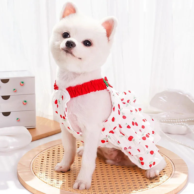 Vestido verano con capucha para perras – Estampado cerezas, Chihuahua y Poodle - imagen 2