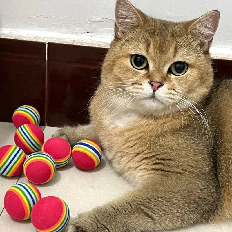 Pelotas de EVA para gatos y cachorros - Juguete interactivo arcoíris - imagen 4