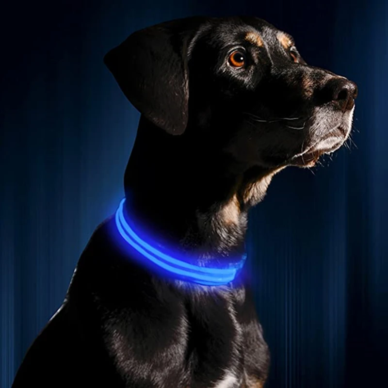 Collar LED USB para Perros con Carga Recargable