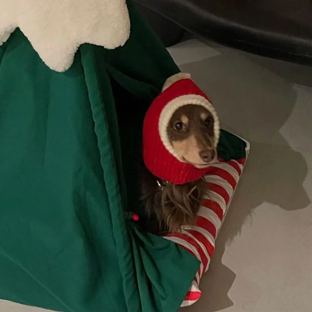 Wiener Dogs Año nuevo Navidad sombrero rojo invierno cálido jersey tejido a mano para perros salchicha lindo sombrero de vacaciones para perros tejón - imagen 4