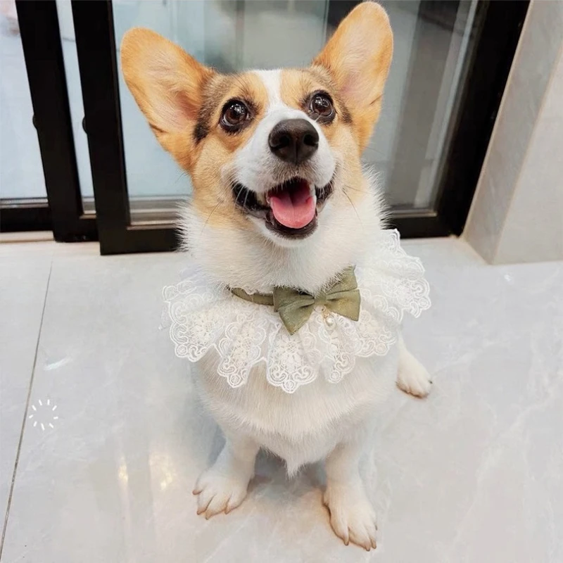 Collar para mascotas con pajarita de perlas, Collar de encaje de terciopelo ajustable con diseño de princesa para boda de gato y perro, decoración de fotos - imagen 4