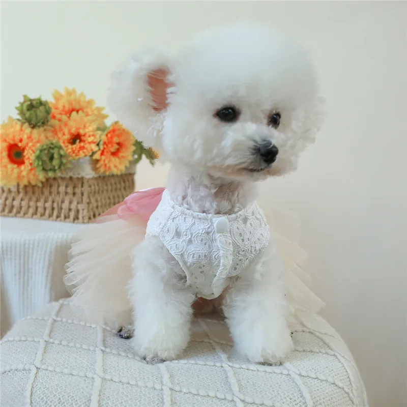 Vestido de fiesta para perros pequeños y medianos – Falda de tul con lazo - imagen 5
