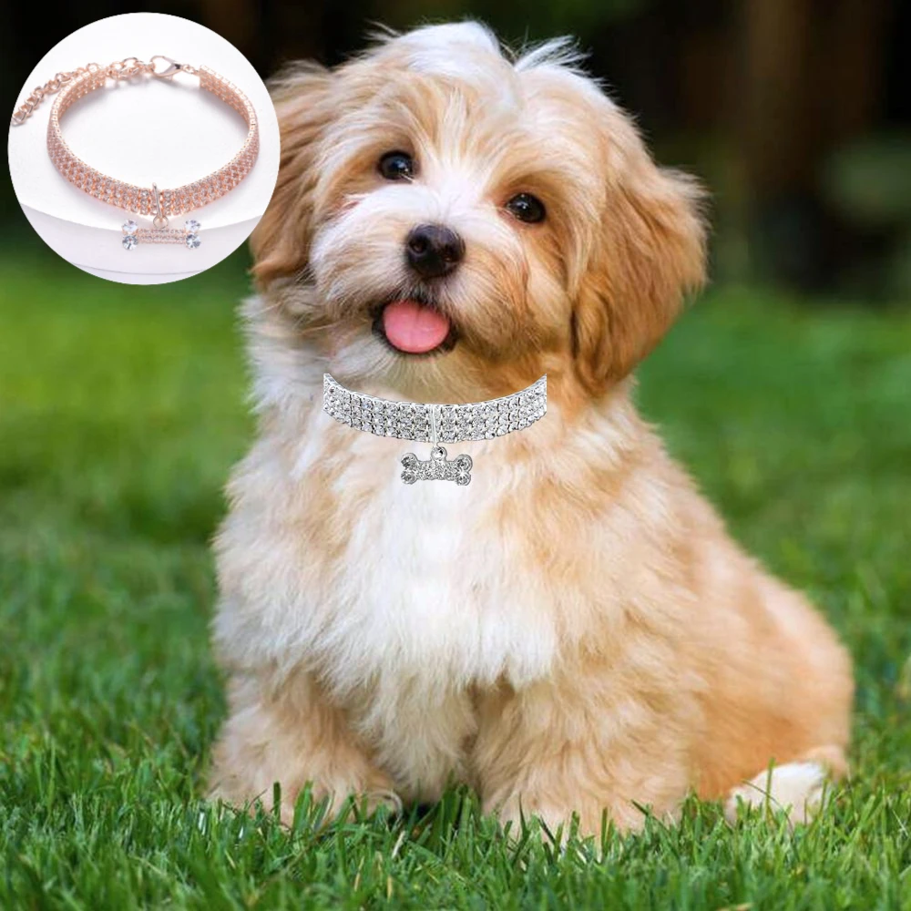 Collar de cristal de lujo para mascotas con circonita brillante, Collar de diamantes de imitación ajustable para perros y gatos, Collar de joyería ostentoso - imagen 2