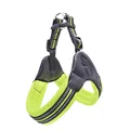 Harness Green